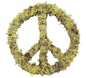 Pre-Order LICHEN MOSS PEACE SIGN WREATH